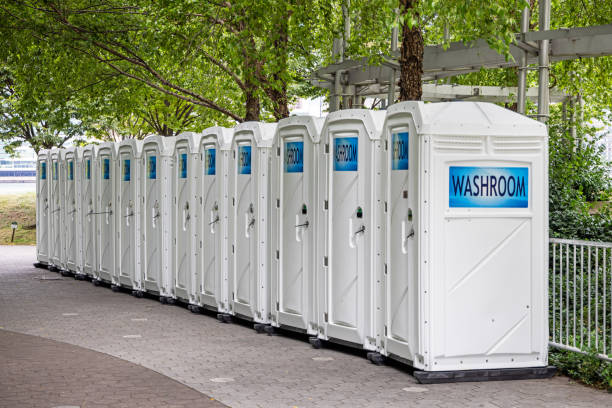 Best Affordable portable toilet rental  in Pocomoke City, MD